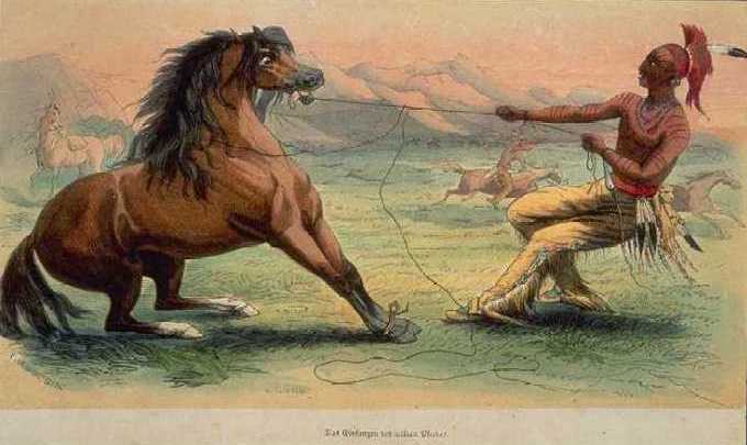 A wild animal — the better mental model for AI.